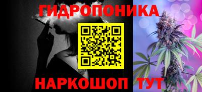 сатива Кунгур