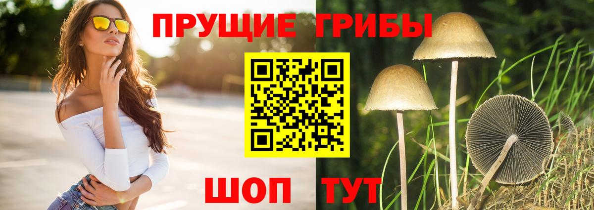 Псилоцибиновые грибы MAGIC MUSHROOMS  Вход с VPN  закладки  Городец 